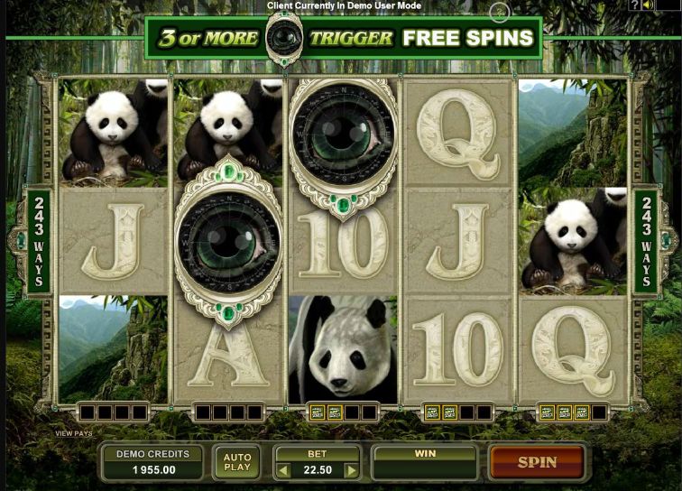 Untamed Giant Panda Untamed Giant Panda