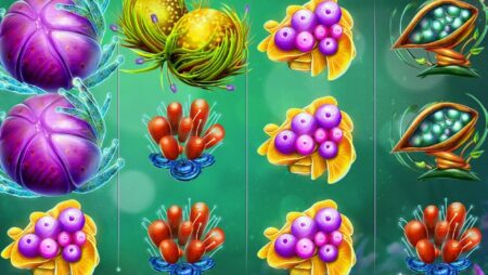 Fruitoids