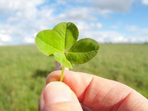 Historie talismanů, amuletů a pověr