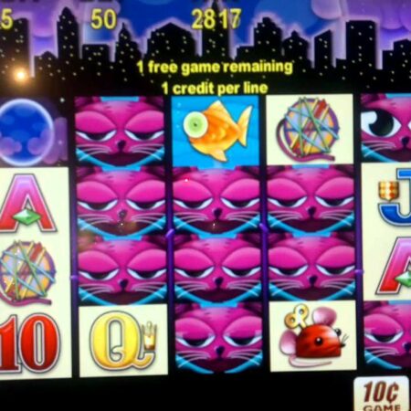 Casino babičce nemusí vyplatit výhru 41 milionů dolarů, jednalo se o chybu programu