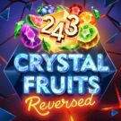 243 Crystal Fruits