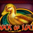 Duck of Luck