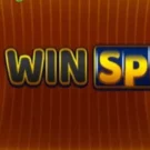 81 Win Spin