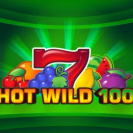 100 Hot Wild