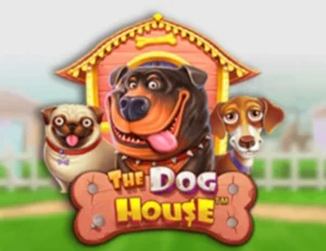 The Dog House