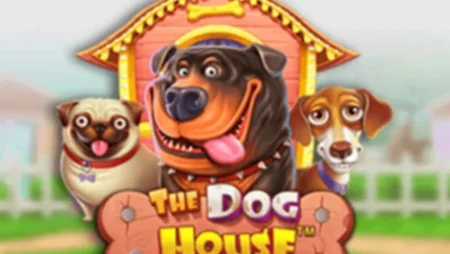 The Dog House