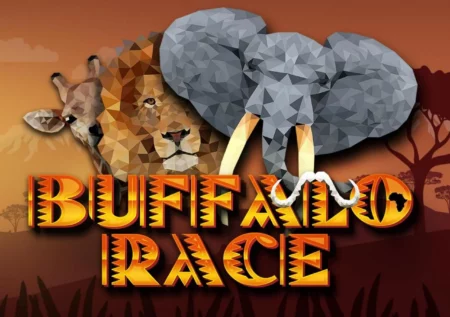 Buffalo Race