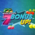 7 Bonus Up