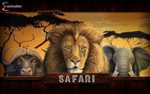 Safari
