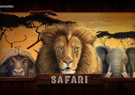 Safari