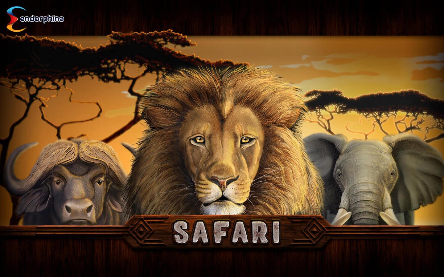 Safari