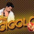 Hot Gigolo