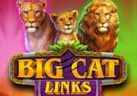 Big Cat Links