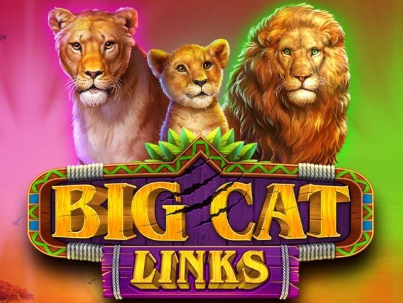 Big Cat Links