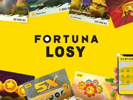 Fortuna Losy