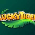 Lucky Tiger