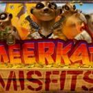 Meerkat Misfits