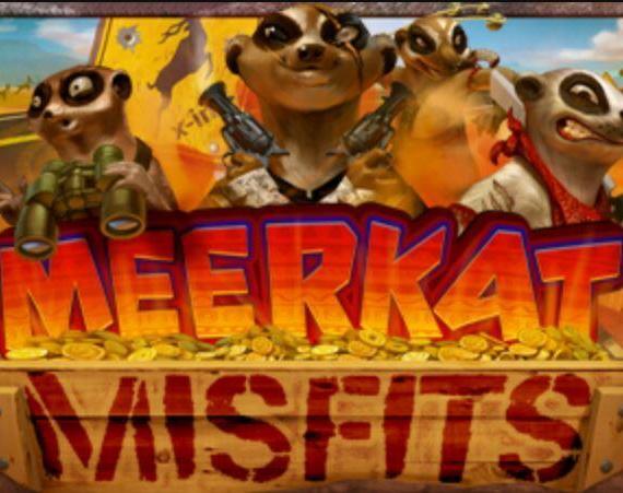 Meerkat Misfits