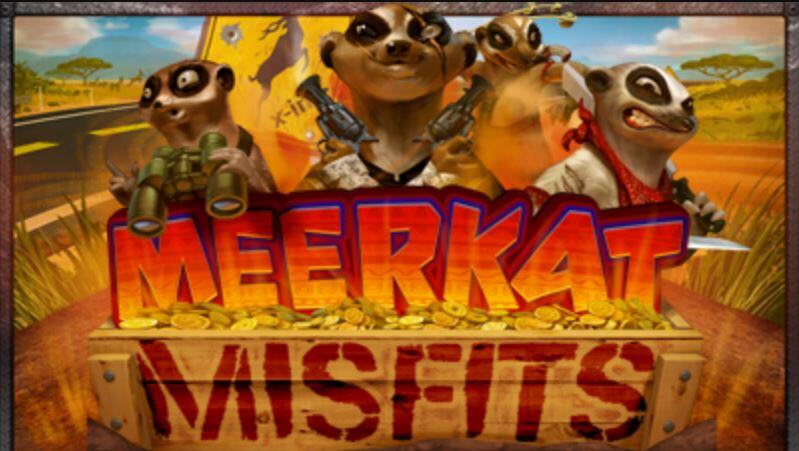 Meerkat Misfits