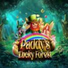 Paddy’s Lucky Forrest