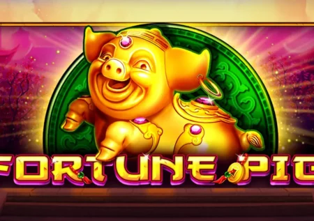 Fortune Pig