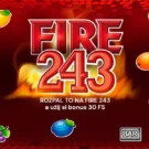 Fire 243