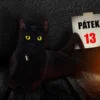 Pátek 13. bacha na FREE spiny