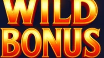 Wild Bonus