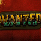 Wanted Dead or a Wild