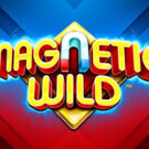 Magnetic Wild