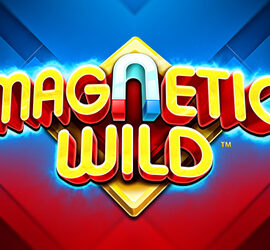 Magnetic Wild