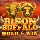 Bison vs Buffalo