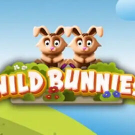 Wild Bunnies